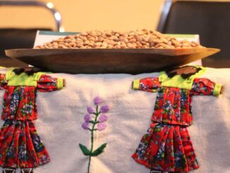 Fortalece Gobierno del Estado capacidades de productores de frijol en Chihuahua