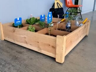 Capacitarán a 1,290 estudiantes cuauhtemenses en la implementación de huertos escolares