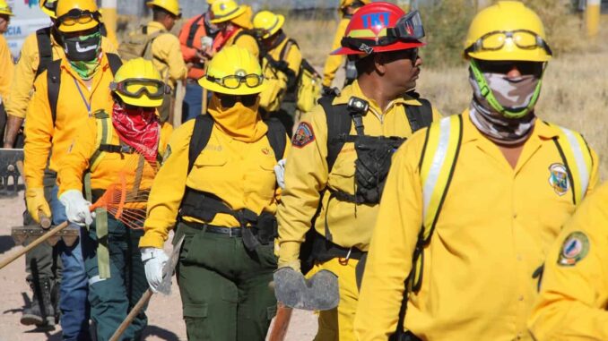 Inicia capacitación del Programa Manejo del Fuego 2025 dirigida a brigadistas y voluntarios