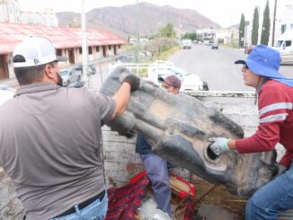 Visitará programa Destilichadero siete colonias del 3 al 8 de marzo