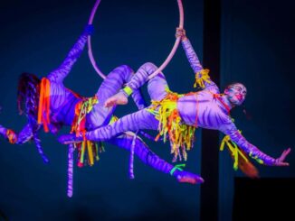 Disfrutan más de 35 mil chihuahuenses del Festival Familias Felices: DIF Municipal