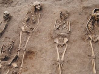 Identifican 14 cuerpos en fosas clandestinas de Casas Grandes