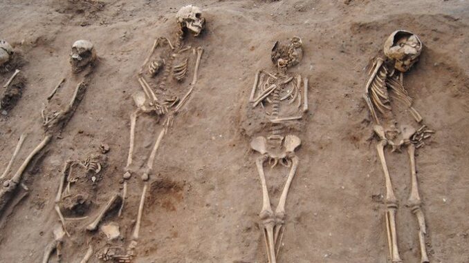 Identifican 14 cuerpos en fosas clandestinas de Casas Grandes