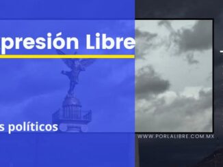 Silencio de diputadas ante caso de crueldad animal