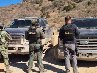 Asegura Operativo Conjunto dos pick ups con reporte de robo, un arma larga y municiones en Moris