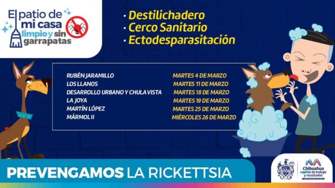 Conoce las colonias que visitará el programa “Patio de mi Casa” en el mes de marzo