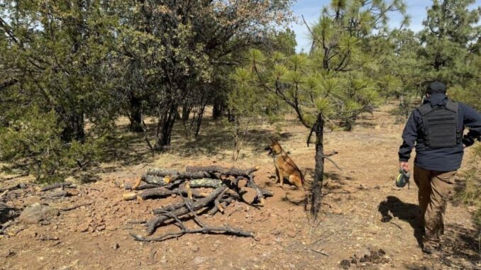 CLB localiza fosa y recupera cuerpo en La Mesa de Avena