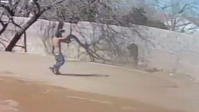 Fallece abuelita que fue agredida por un sujeto intoxicado