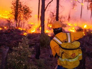 Combaten 138 brigadistas siete incendios forestales activos en cinco municipios