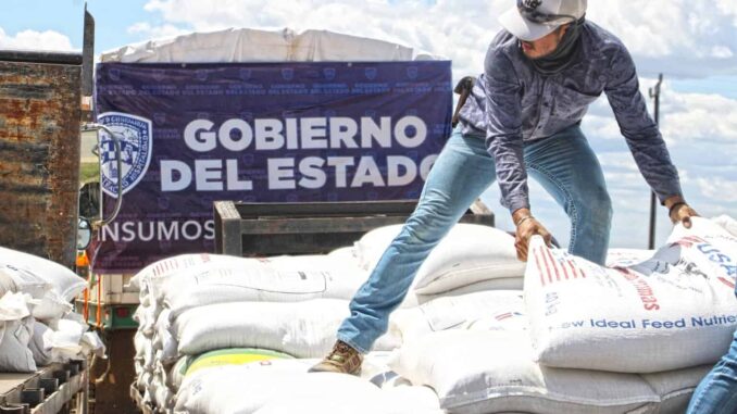 Abre SDR convocatoria del programa de maíz subsidiado para bovinos y especies menores