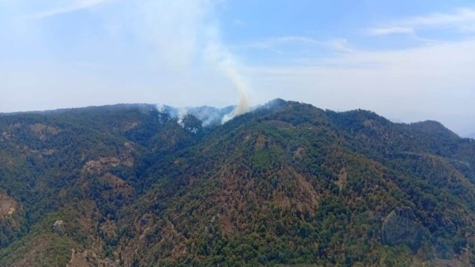 Descartan años en viviendas tras incendios en Urique