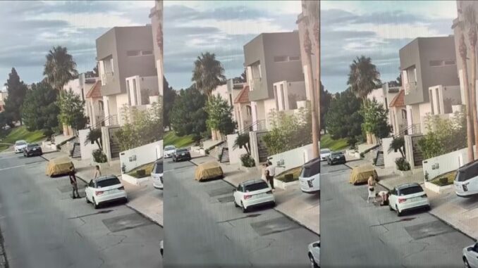 Difunden video del agresor del guardia del San Francisco, golpeando a otro hombre 