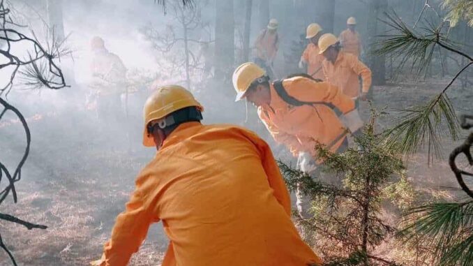 Aumenta número de combatientes para atender 16 incendios forestales activos en el estado