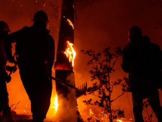 Controlado en un 90 por ciento incendio forestal en Guazapares: SDR