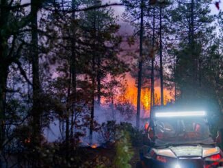 Permanecen activos 12 incendios forestales en el estado