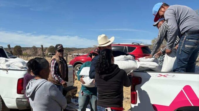 Entregan más de 1,200 apoyos alimentarios a familias del municipio de Temósachic