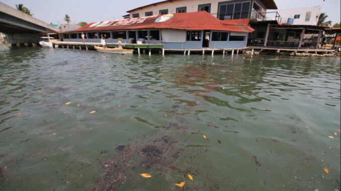 Derrame de hidrocarburo en Tabasco mata peces y cierra playas; acusan a Pemex