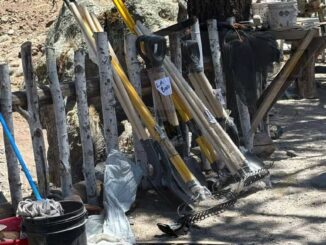 Entrega diputado Luis Fernando Chacón primer cargamento de apoyos para combatientes en la sierra