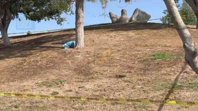 Hallan sin vida a un hombre junto a la Mediateca en parque del Palomar