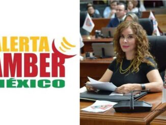 “Casi 3 millones de teléfonos celulares al servicio de la búsqueda de personas”: dip. María Antonieta Pérez