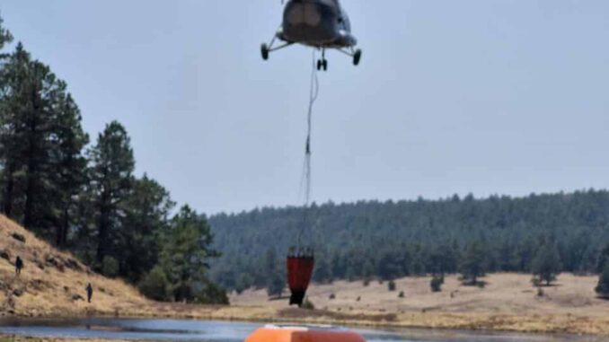 Arriba segundo grupo de brigadistas de otros estados para hacer frente a 23 incendios forestales en Chihuahua