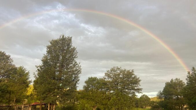 Lluvias de hasta 25 mm en algunos puntos del estado durante las próximas horas
