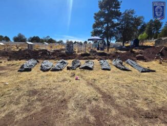 Exhuma Fiscalía Occidente 10 cuerpos en panteón La Norteña, municipio de Madera