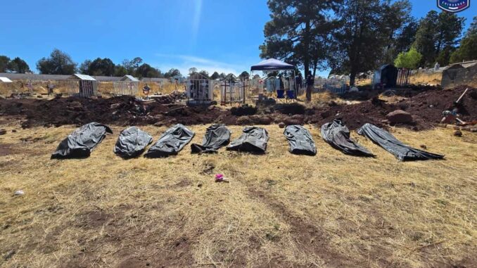 Exhuma Fiscalía Occidente 10 cuerpos en panteón La Norteña, municipio de Madera