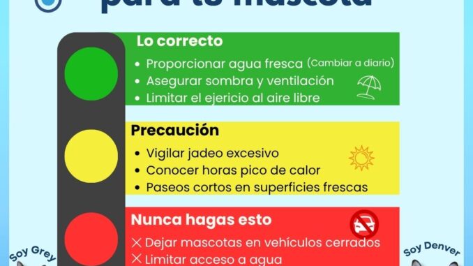 WhatsApp-Image-2026-05-26-at-2.36.59-PM.jpeg